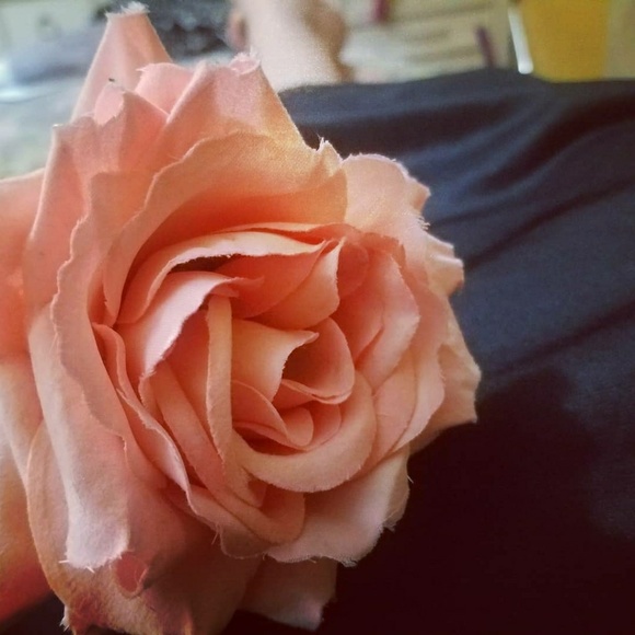 Elegant Light Peach Vintage Rose HairComb - Picture 3 of 6